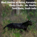 Cultural and Birding Photo Tour, South India
